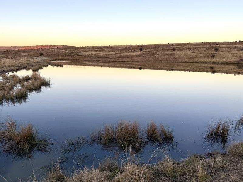 0 Bedroom Property for Sale in Warden Free State